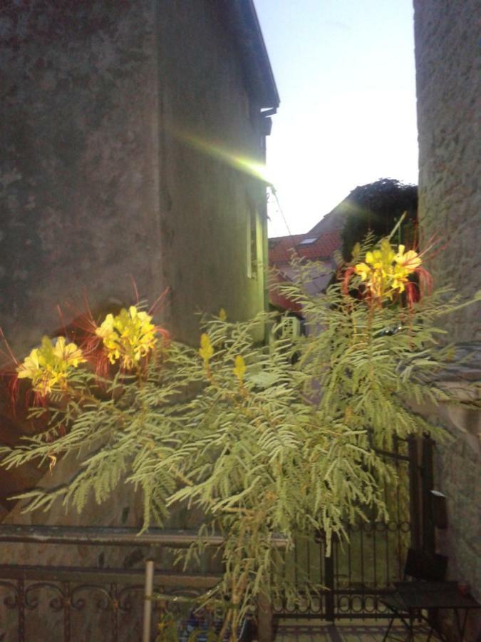 Apartman Karla Makarska Exterior foto